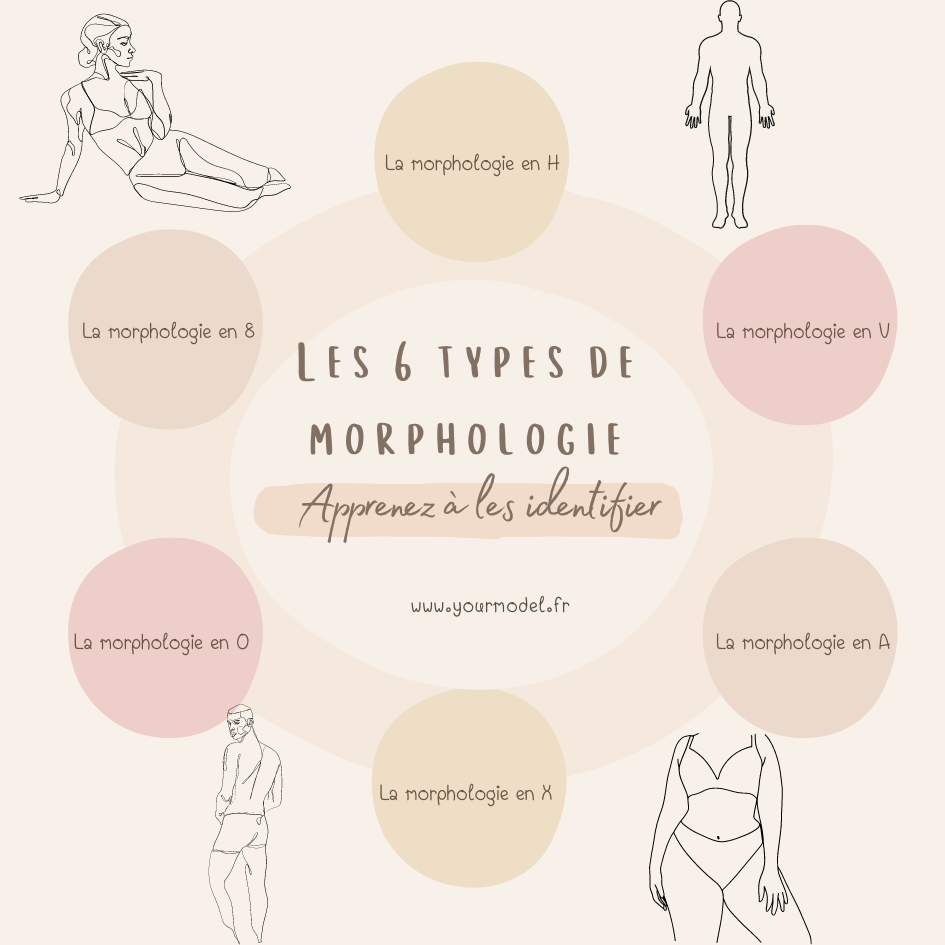 types de morphologie